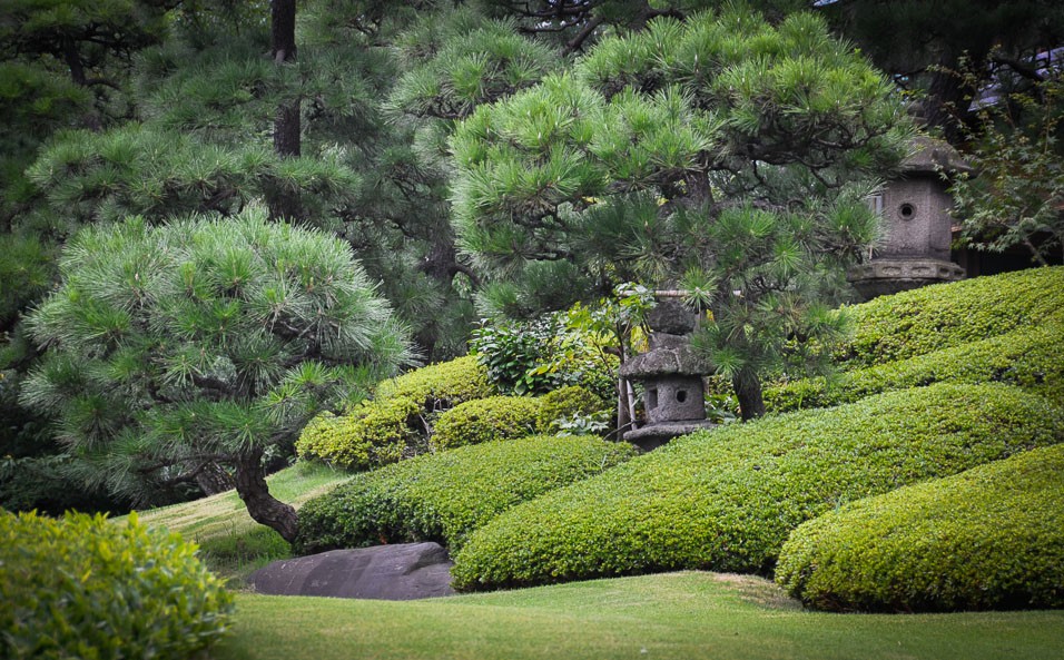 Zahrada v srdci Tokya