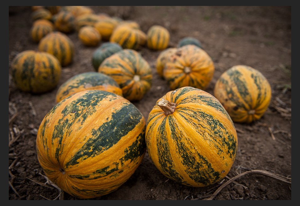 Příprava na halloween