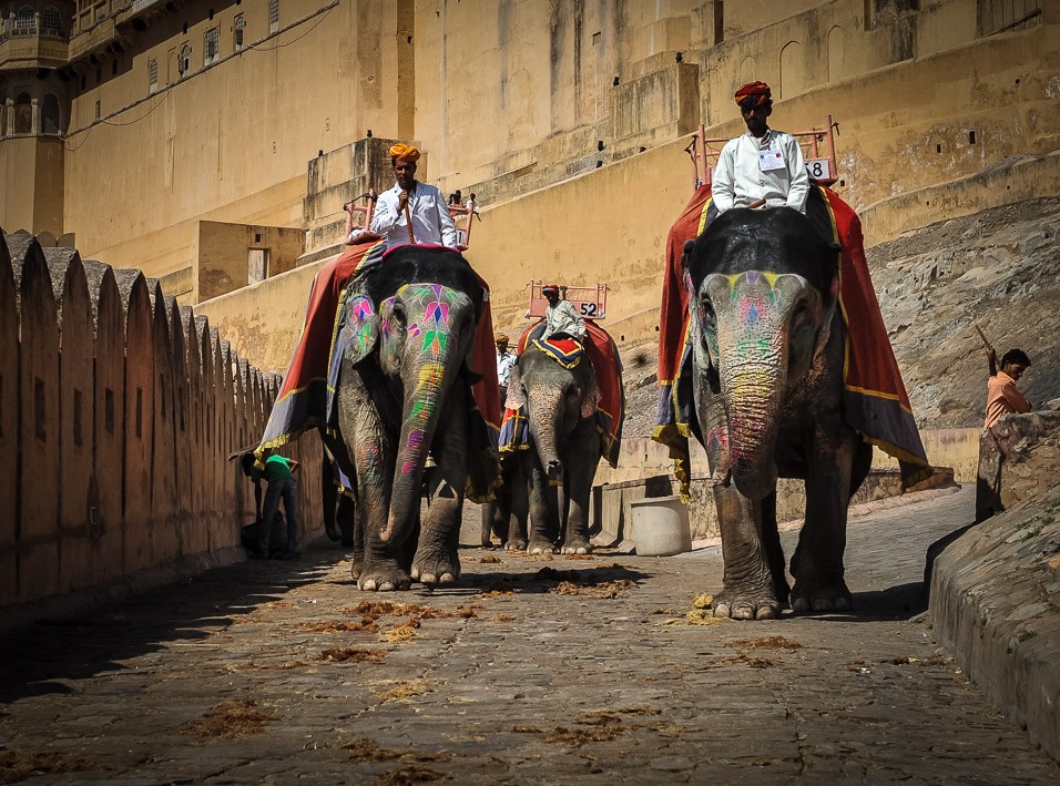 Dopravní sloni