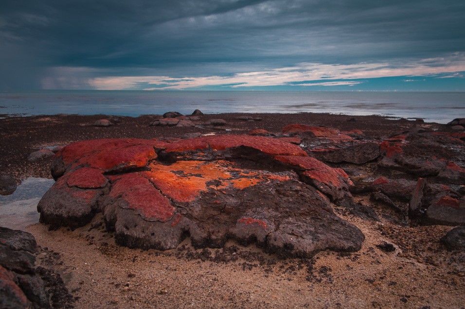 kolonie stromatolitů Hamelin Pool