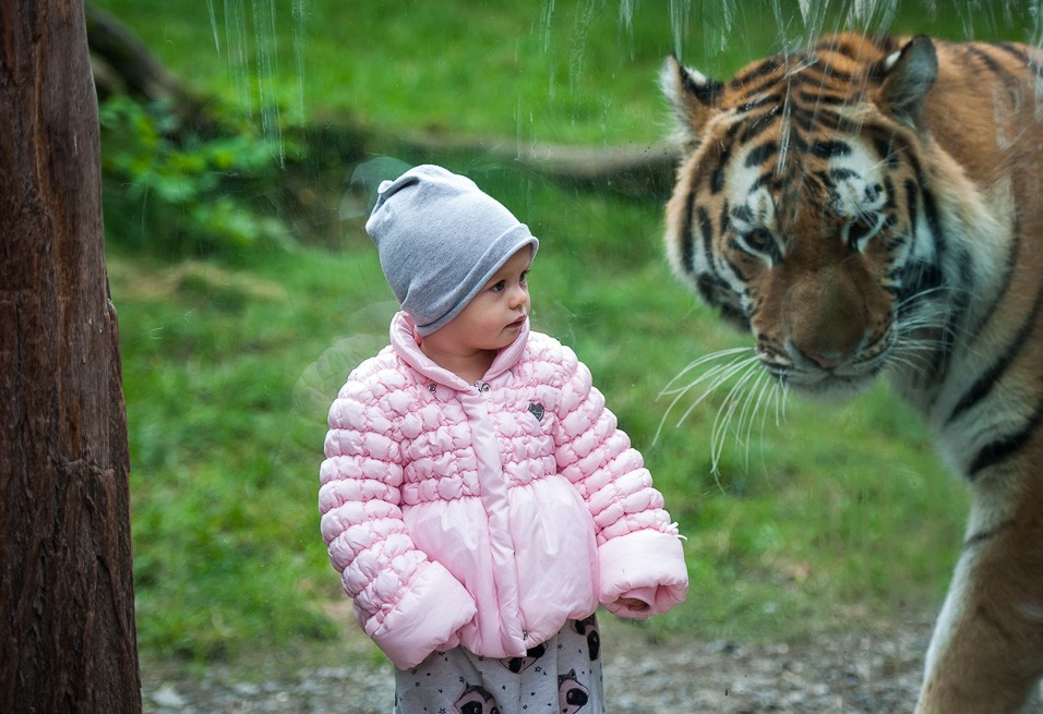 Poprvé jsem byla v ZOO