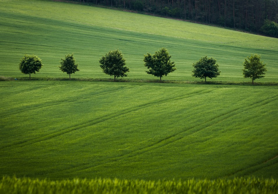 Krajina Benešovska