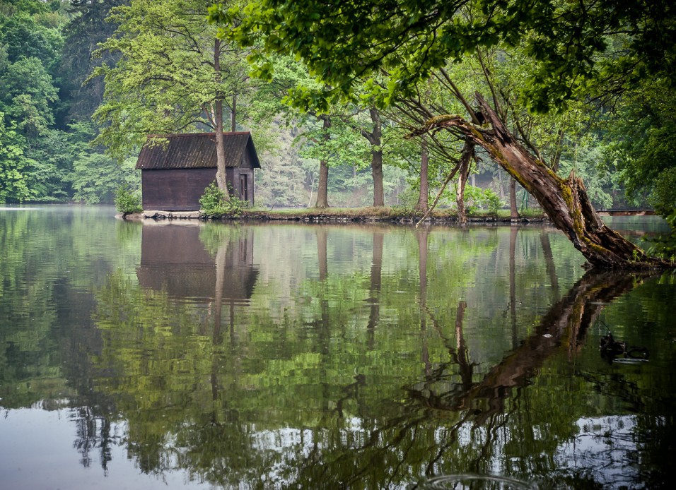 Mlýnský rybník u Olešovice