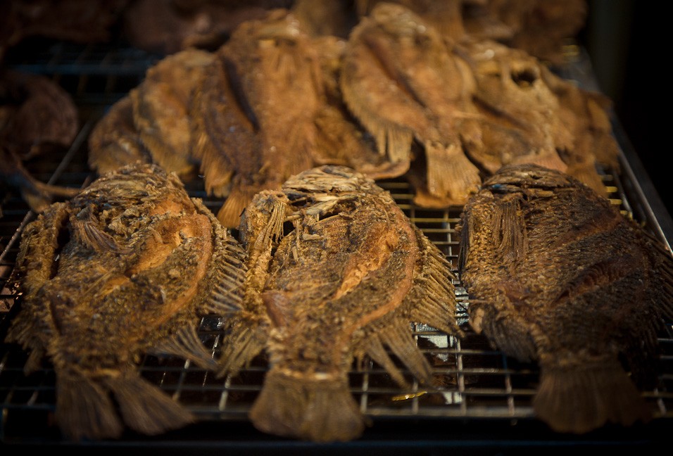 Night market plný dobrot