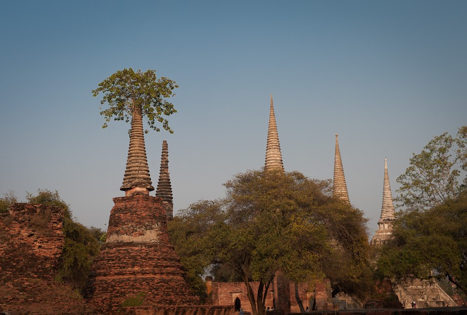 Ayutthaya - wat phra si samphet
