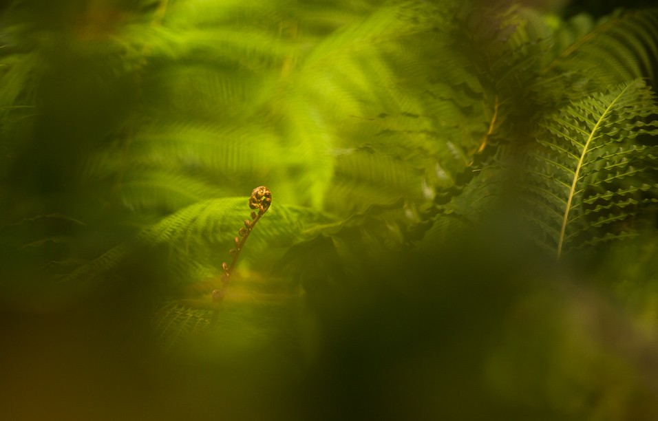 Fata Morgana Troja