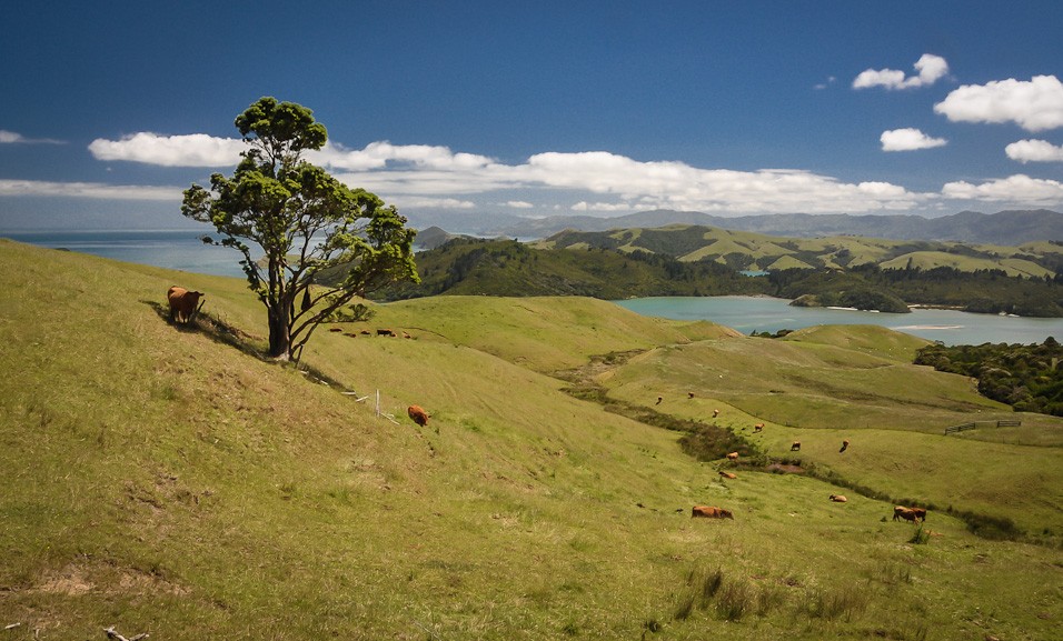 Poloostrov Coromandel