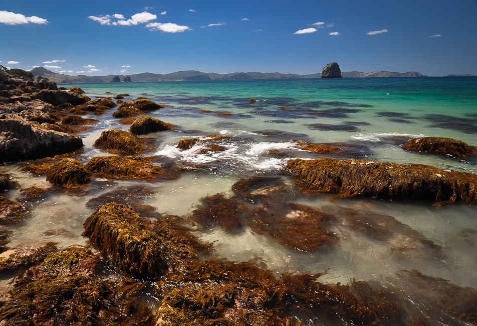 Náš první trek na Cathedral Cove