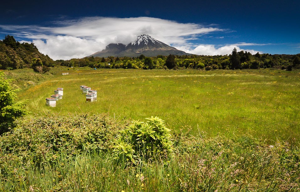 Mount Egmont 