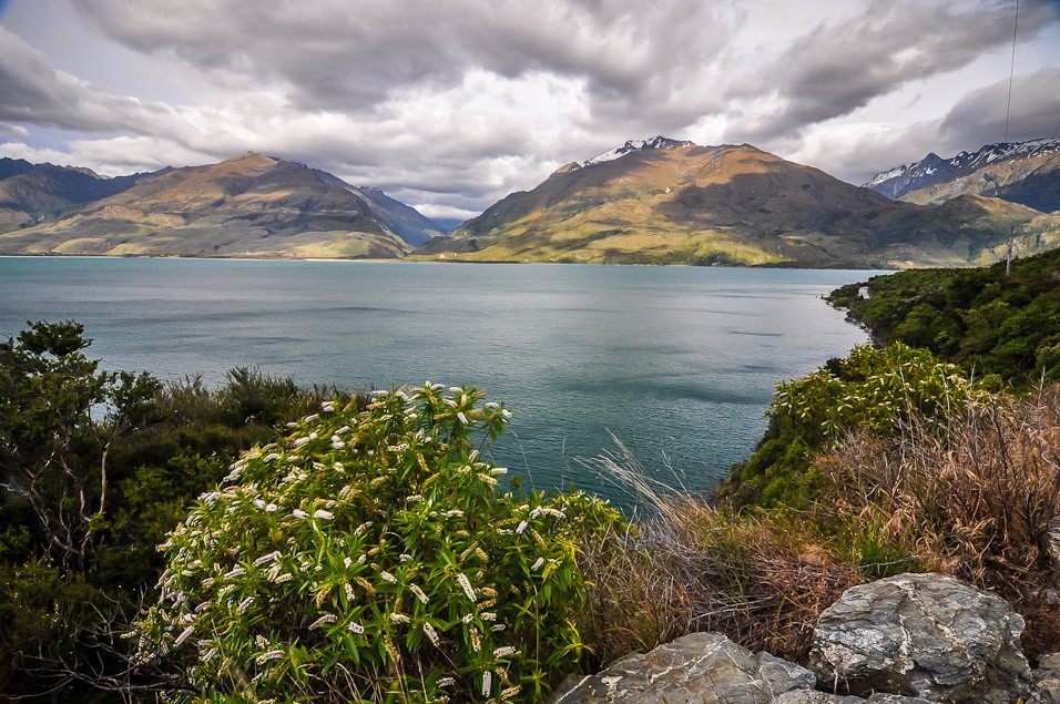 Podél jezera Wanaka