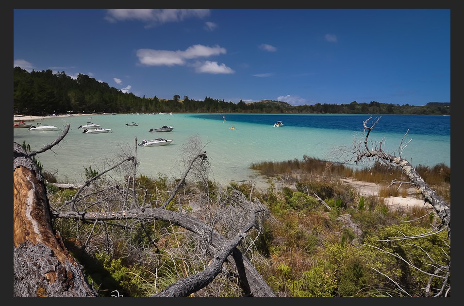 Dvoubarevné jezero u Dargaville