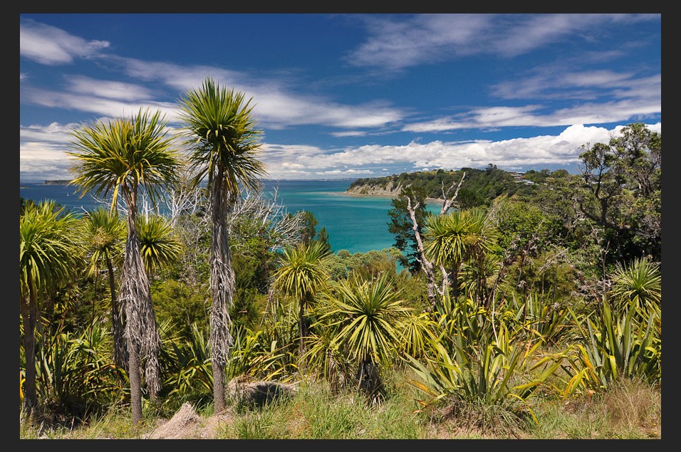 Mahurangi regional park