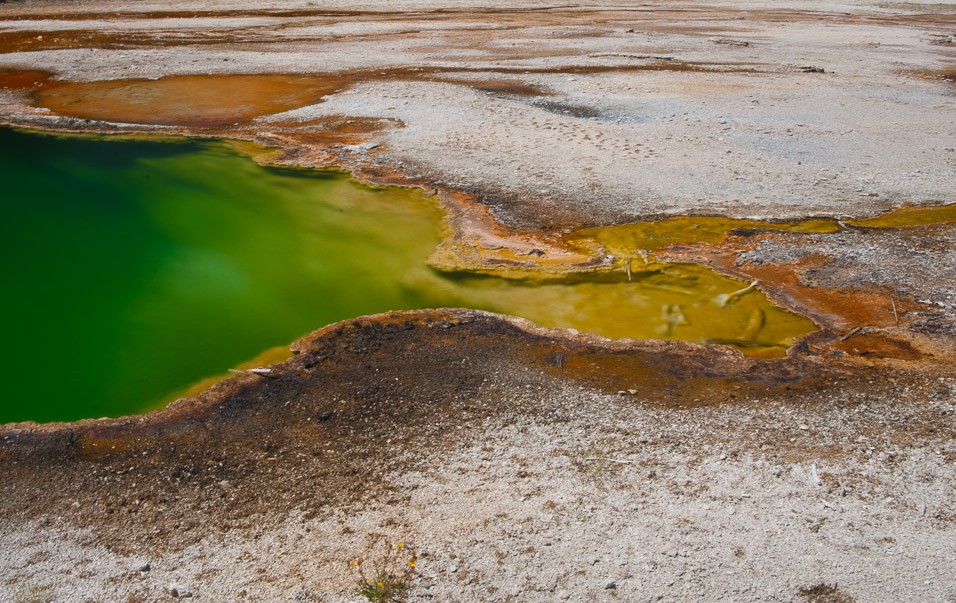 Odpoledne dojíždíme do Yellowstone