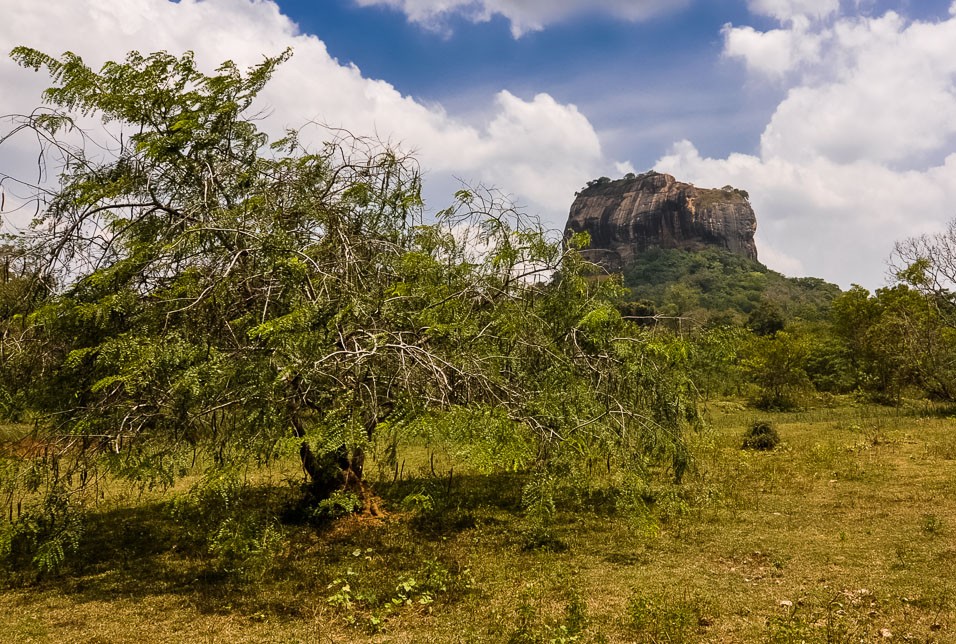 stolová hora Sigiriya z dálky