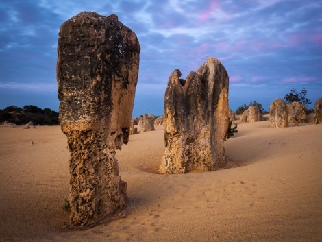 NP Nambung a Pinnacles