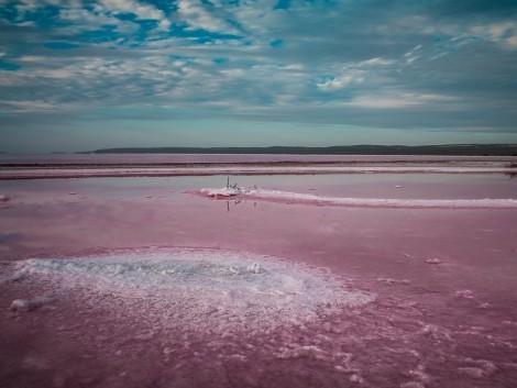 Růžové jezero u Port Gregory