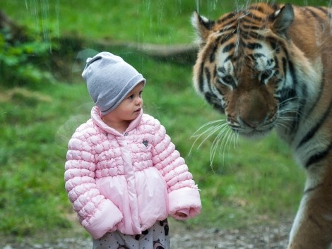 Poprvé jsem byla v ZOO