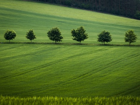 Krajina Benešovska