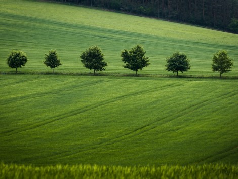 Krajina Benešovska