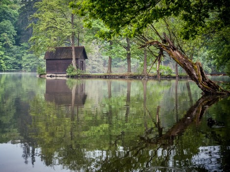 Mlýnský rybník u Olešovice