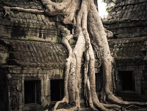 Ta Prohm - klášter Angeliny Jolie