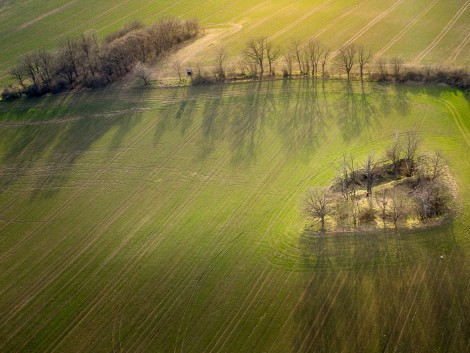 Loď v polích