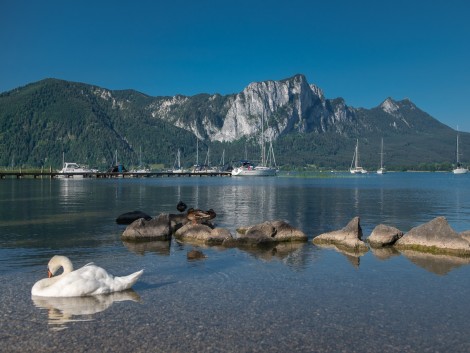 Zastávka u jezera Mondsee