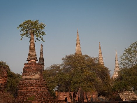 Ayutthaya - wat phra si samphet