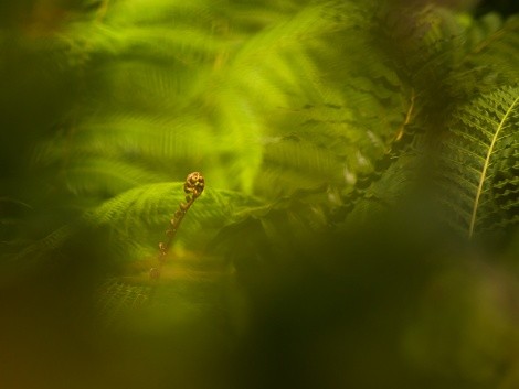 Fata Morgana Troja