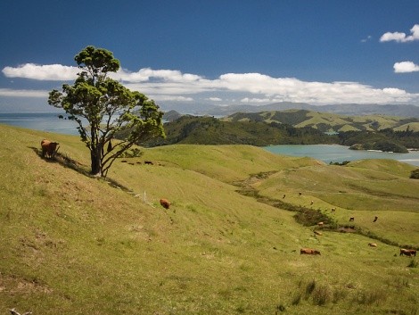 Poloostrov Coromandel