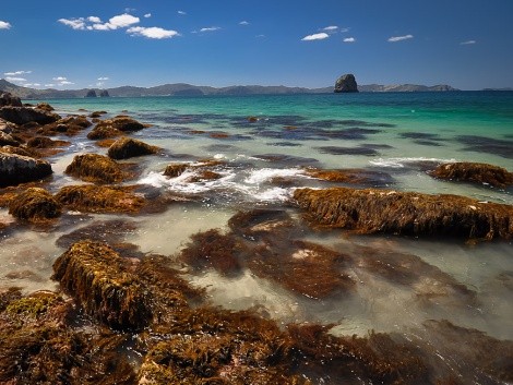 Náš první trek na Cathedral Cove