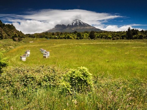 Mount Egmont 