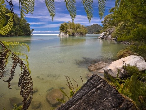 Abel Tasman National Park