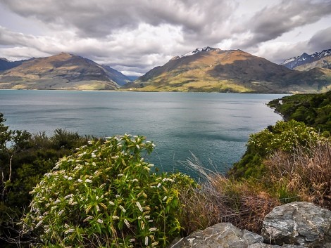 Podél jezera Wanaka