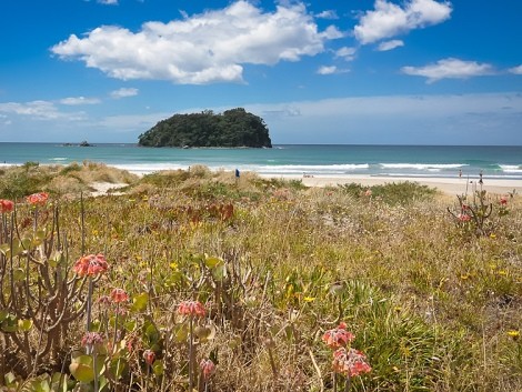 Přímořské letovisko Mt.Manganui