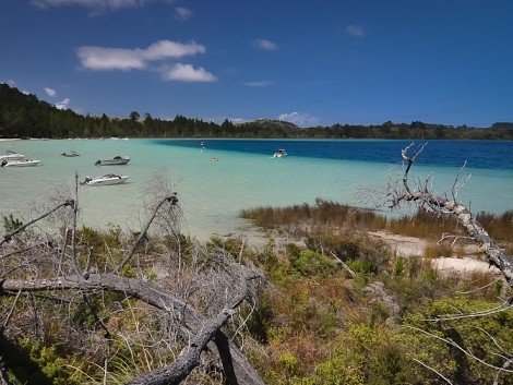 Dvoubarevné jezero u Dargaville