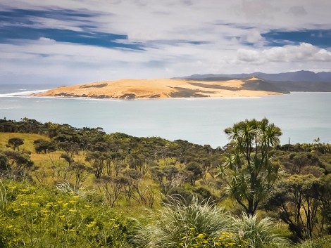 Cestou na Cape Reinga