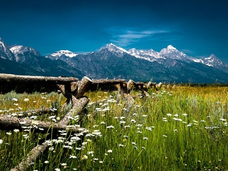  Míříme stále na sever - NP Teton