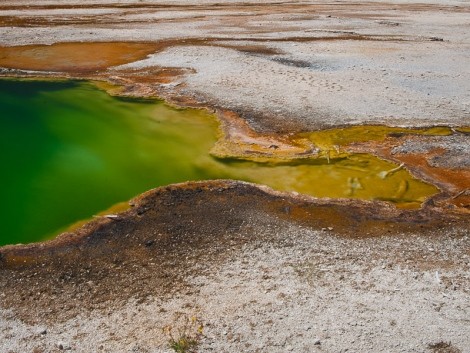 Odpoledne dojíždíme do Yellowstone