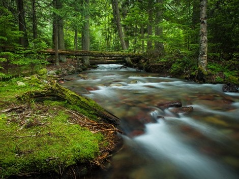 Glacier National Park