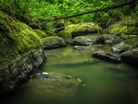 Voděradské bučiny u Jevan