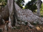 galerie Botanic garden