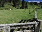 galerie Mt.Taranaki