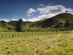 galerie Mt.Taranaki