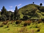 galerie Mt.Taranaki