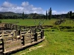 galerie Mt.Taranaki