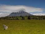 galerie Mt.Taranaki