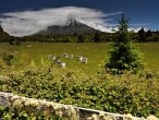 galerie Mt.Taranaki