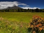 galerie Mt.Taranaki