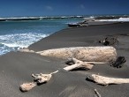 galerie Mt.Taranaki